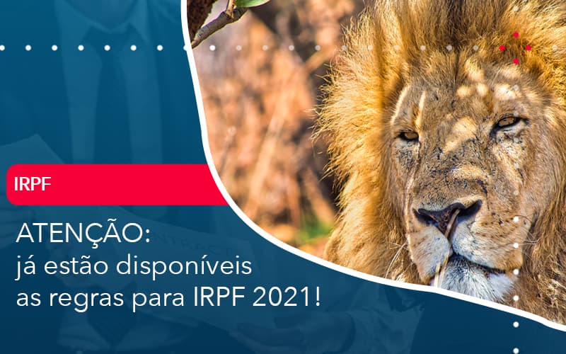 Ja Estao Disponiveis As Regras Para Irpf 2021 - Contabilidade no Méier Rio de Janeiro - RJ | Contábil Rio