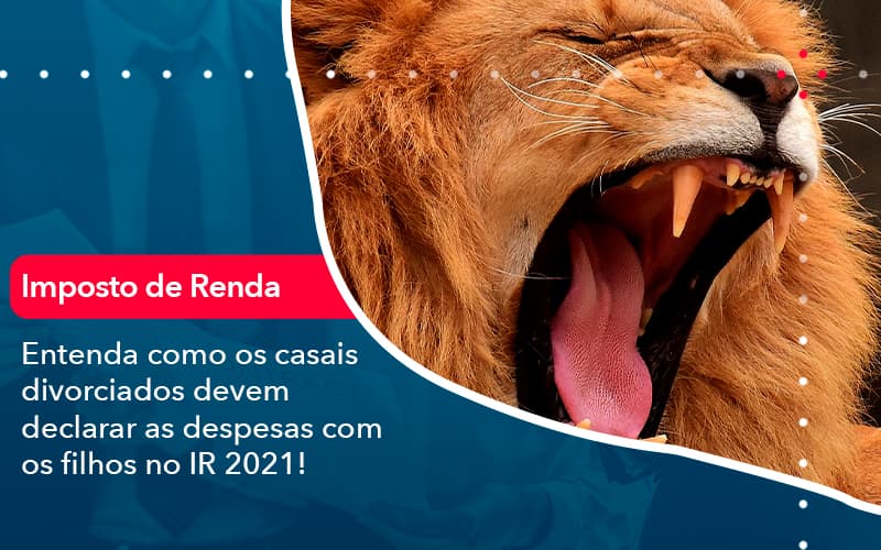 Entenda Como Os Casais Divorciados Devem Declarar As Despesas Com Os Filhos No Ir 2021 1 - Contabilidade no Méier Rio de Janeiro - RJ | Contábil Rio
