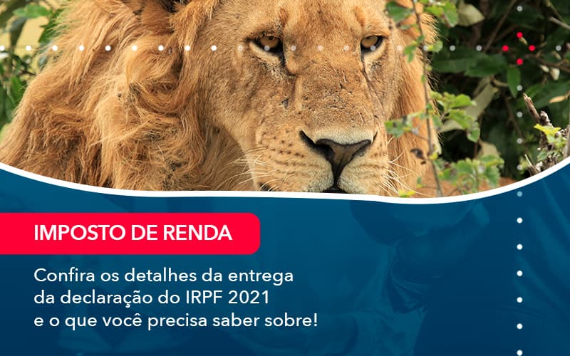 Confira Os Detalhes Da Entrega Da Declaracao Do Irpf 2021 E O Que Voce Precisa Saber Sobre 1 - Contabilidade no Méier Rio de Janeiro - RJ | Contábil Rio