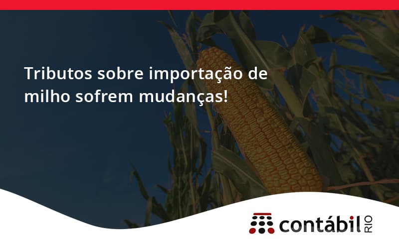 Tributos Sobre Importação De Milho Sofrem Mudanças! Contabil Rio - Contabilidade no Méier Rio de Janeiro - RJ | Contábil Rio