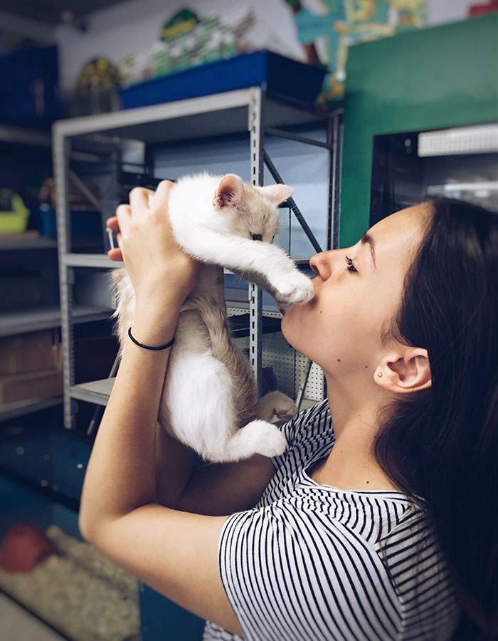 Contabilidade Petshop Rio De Janeiro - Contabilidade no Méier Rio de Janeiro - RJ | Contábil Rio